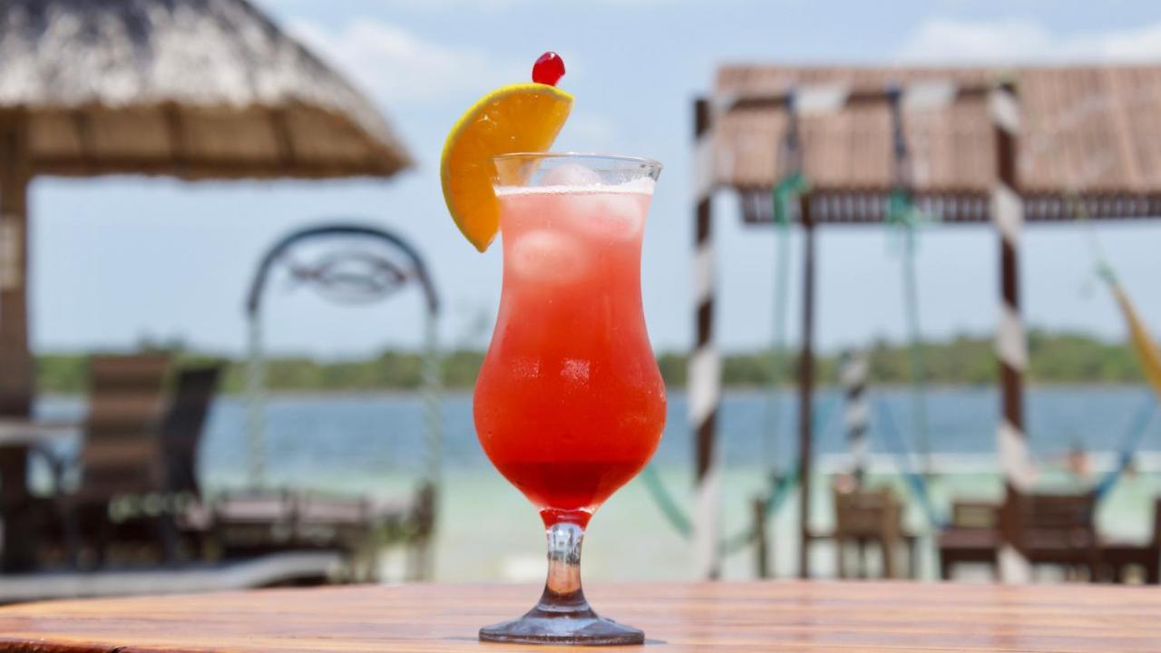 Pousada E Restaurante Paraiso Natural ジジョーカ・デ・ジェリコアコアラ エクステリア 写真